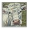 Stupell Industries Pearl Of The Pasture Framed Giclee, design by Sara G. Designs